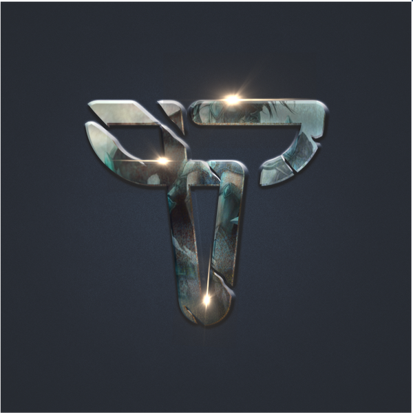 TRANSFORMERS (professional athletes and corporates)