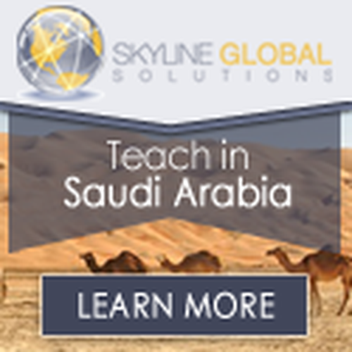 Create the next banner ad for Skyline Global Solutions Design by AYG design