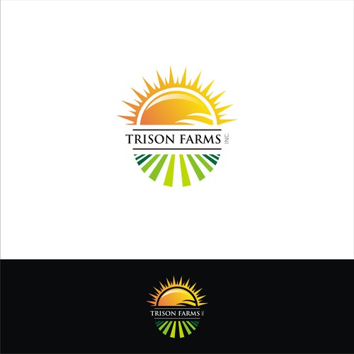 Create a modern logo incorporating 3 suns/agriculture for a well known Canadian marketing company Design by heosemys spinosa