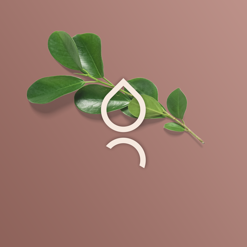 Build  Longevity Brand: Where Science Meets Beauty & Energy Design by pineapple ᴵᴰ