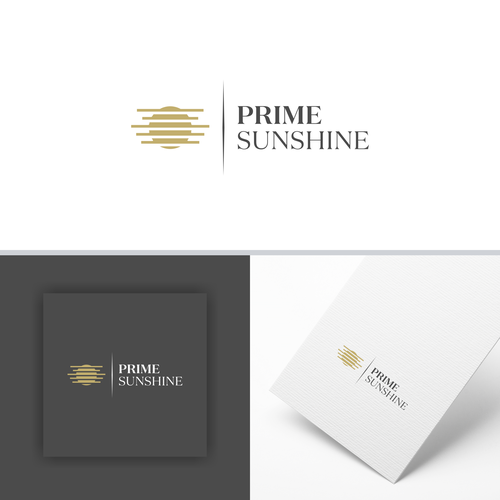 "Create a Strong Visual Identity for a raising capital company in real estate" winning Logo & hosted website