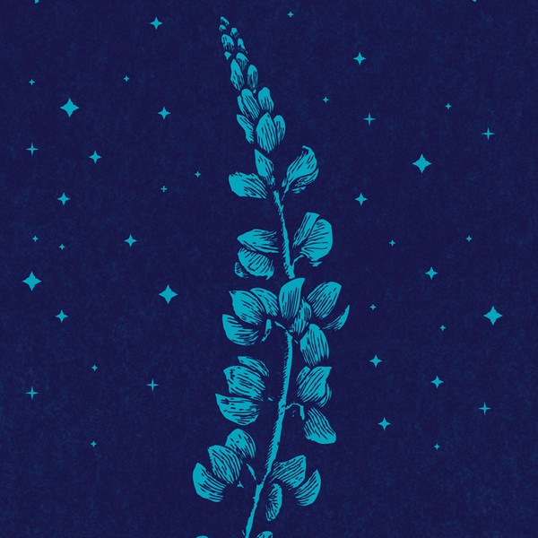 Design by Light and shapes titled "Acupuncture & Wellness of Cordova "