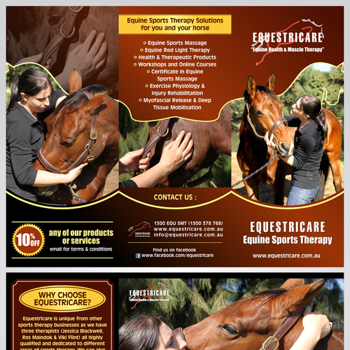 Designs Equestricare Equine Sports Therapy needs a new brochure