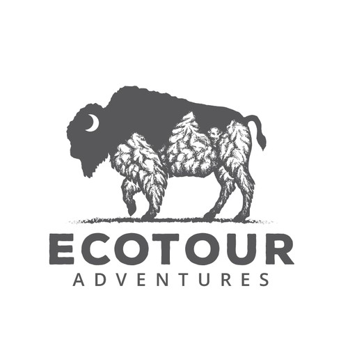 Creative Eco Tour logo integrating mountain  & bison Design by Irina Tinca