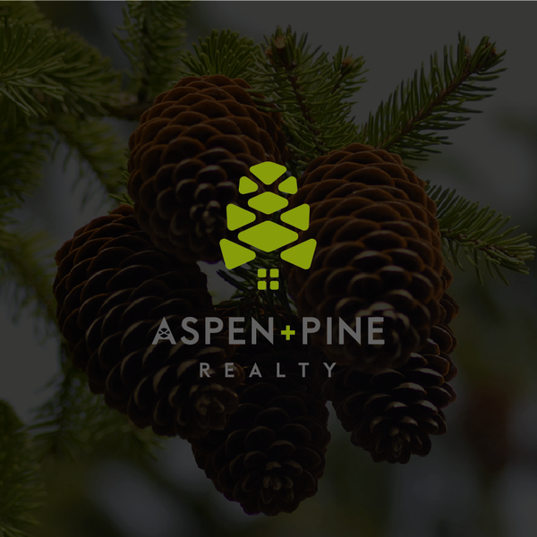 Logo design for real estate