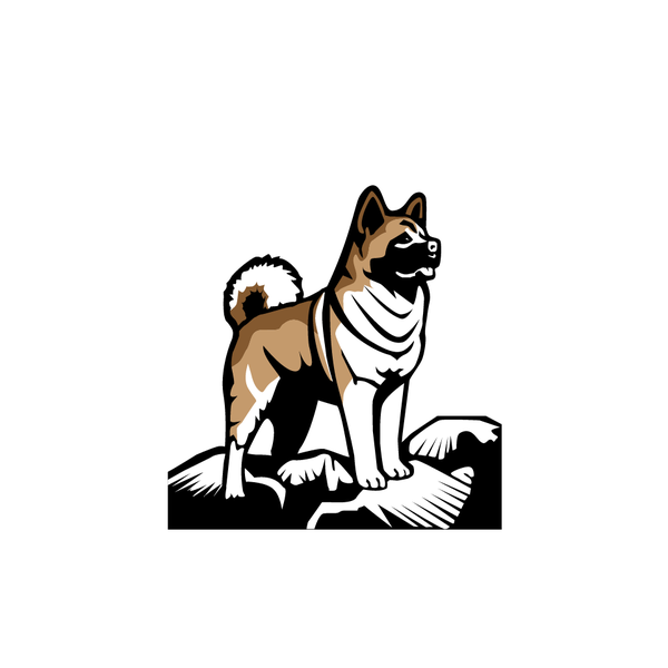 Akita dog