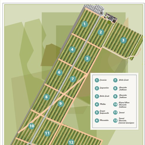 Artist interpretation of a Vineyard map Design by Andres M.