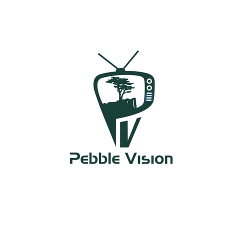 PebbleVision Design by Abacusgrp