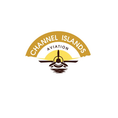 Classic Youthful Flight School catering to future pilots and luxury jet owners Design by DK1979