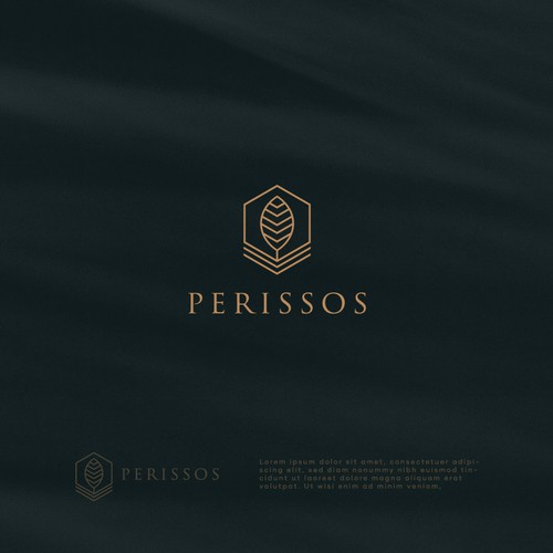 Perissos LOGO Design by Catalin T.