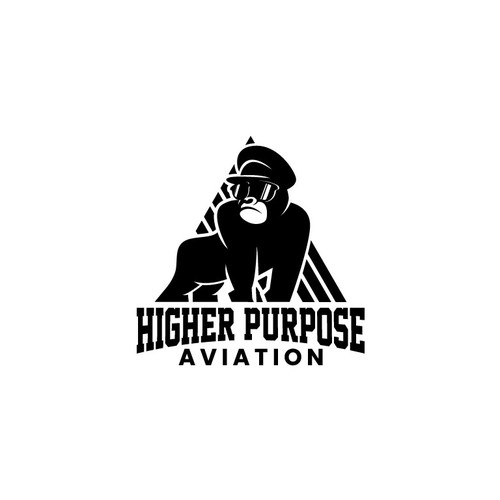Higher Purpose Aviation Design by achi_13