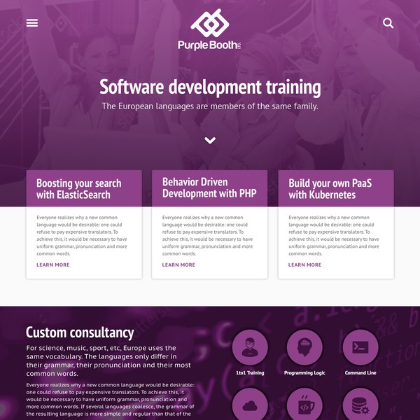 Design by INSANELY.US titled "Home Page for Software training company"