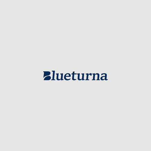 Blueterna Branding contest Design by suzie