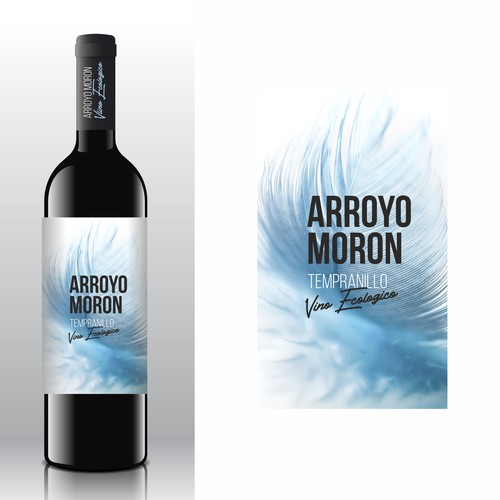  contest entry by Olga Rabodzey