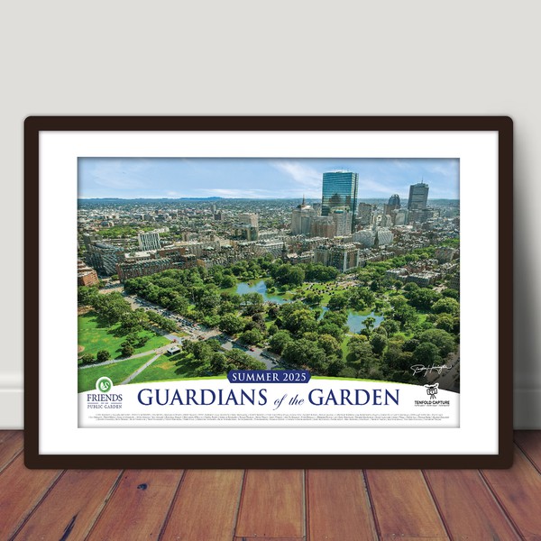 Design by abirk1 titled "showcase the photo"