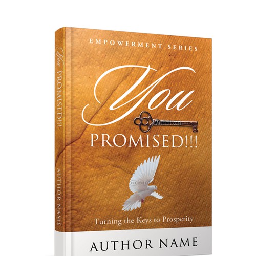 Book Cover - You Promised !!! Design by line14