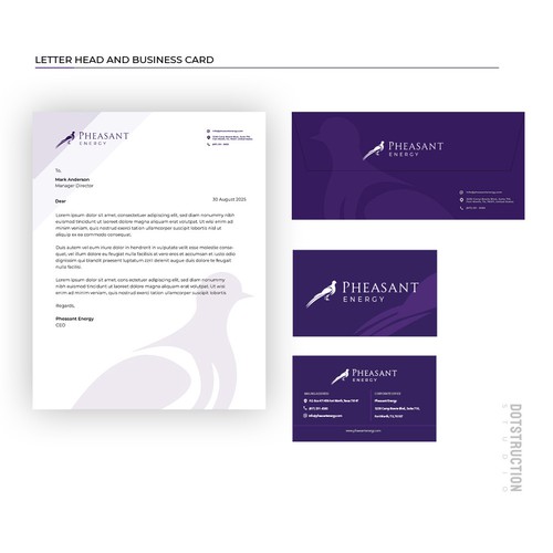 Cohesive Branding Effort Design by Dotstruction Studio