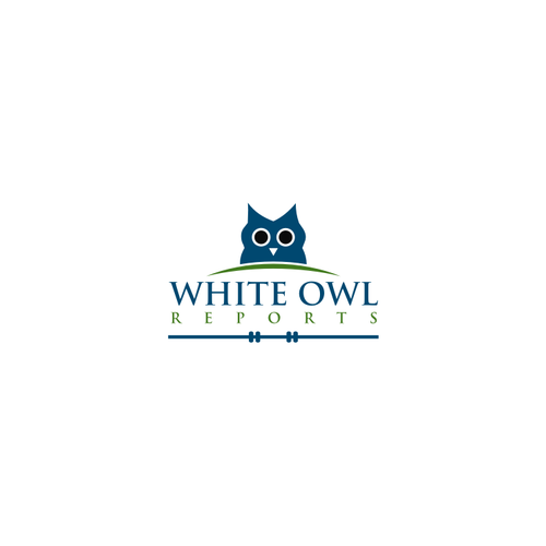 Create An Attractive Capturing And Professional White Owl Logo