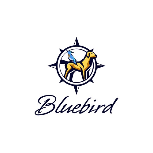 Bluebird Design by Asta Agency