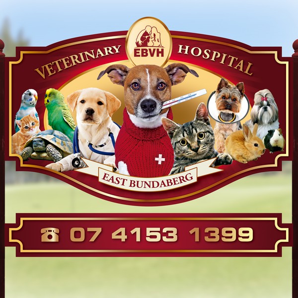 Design by gabojcv titled "Cute, cuddly sign needed for veterinary hospital"