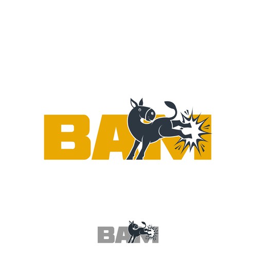 BAM *updated 6/12 read brief Design by Dendir