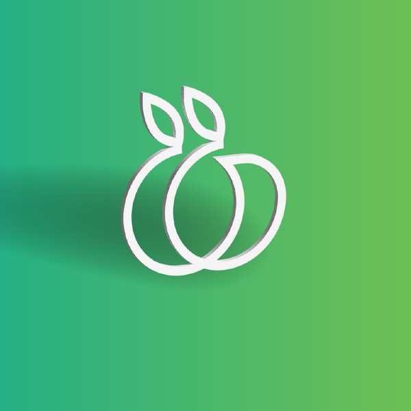 Logo & brand guide contest entry