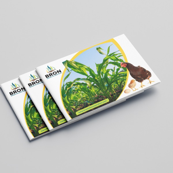 Bron – Modern B2B Brochure & PowerPoint Design