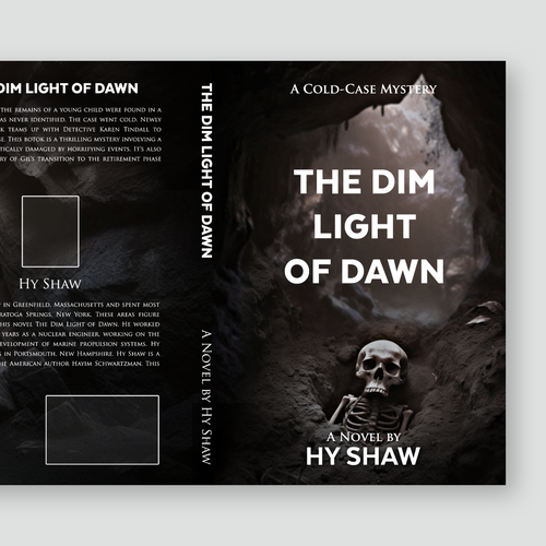 Enticing book cover for a cold-case mystery! Design by Alex C.