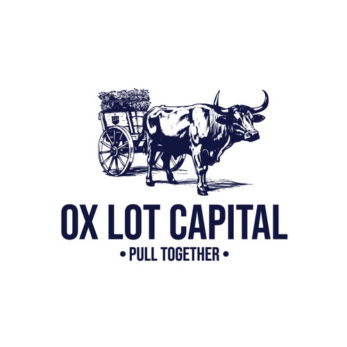 Ox Lot Capital Design por Kaplar