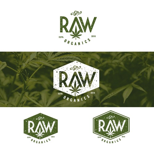 'Dr.Raw' - Organic Cannabis Products Logo Design réalisé par tachimaR