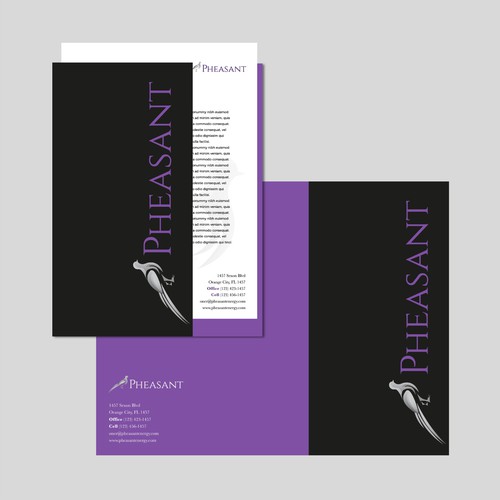 Cohesive Branding Effort Design by TT Global Studios™