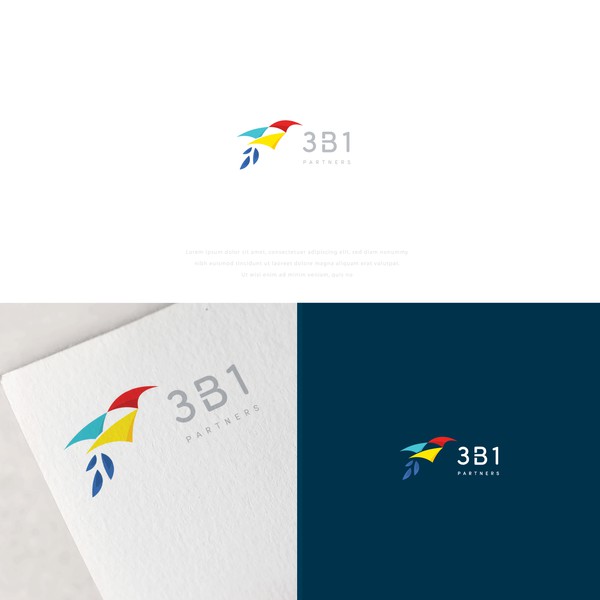 3B1 Partners