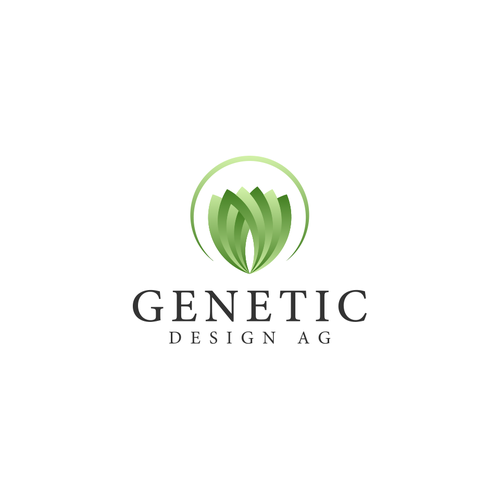 Logotipos propuesta en el concurso por LivRayArt