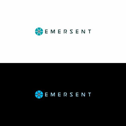 Create a logo for an already highly successful startup software company ...