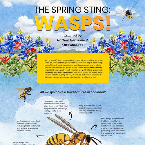 BUZZZZZZ - It's a Wasp Guide for Springtime in Texas! Design von Krisssmy