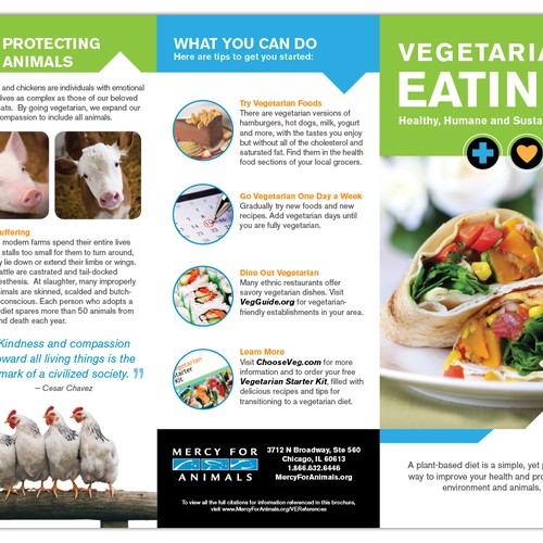 Print or packaging design contest entry by phoebetsui