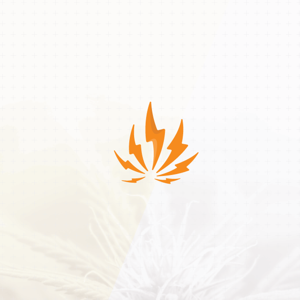 Modern & flashy logo design