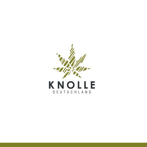 Logotipos propuesta en el concurso por susa75