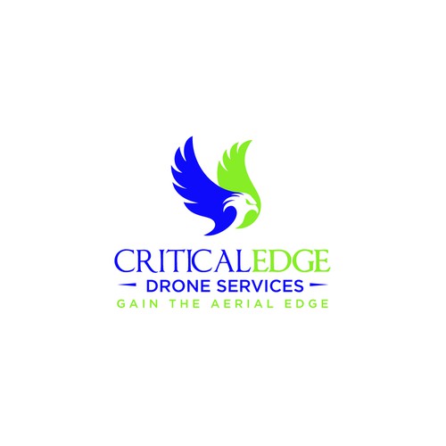 We need a logo design for new Drone inspection and survey company Design by hasnagraphics