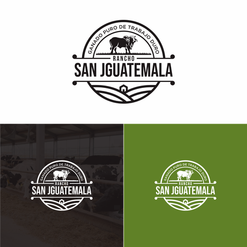 Logo & social media pack contest entry by brightshine