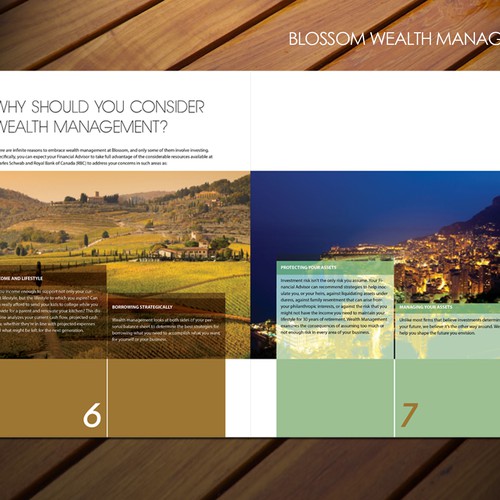 Brochure Redesign from Template for Financial Firm Design by sadzip