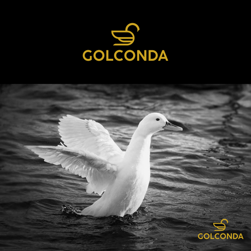 Financial services firm needs memorable logo highlighting excellence, diligence, and innovation! Design by -psyble-