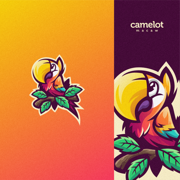 camelot macaw