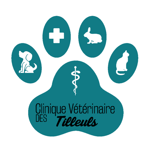  contest entry by Mélanie Moral