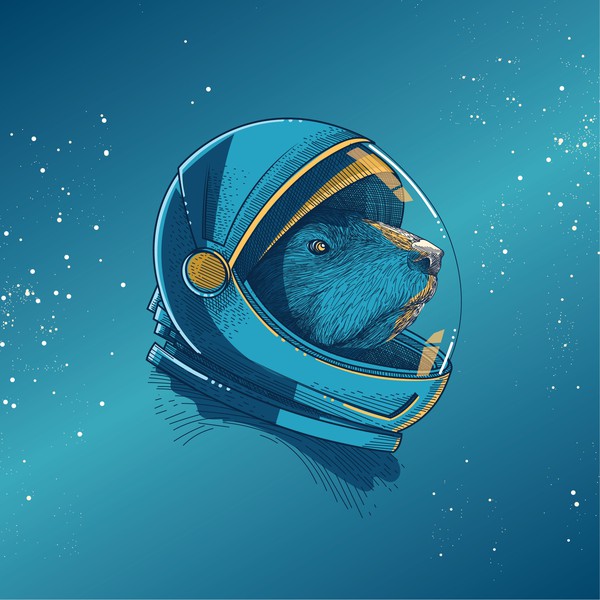 Astronaut Noble Otter is out of this world
