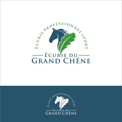  contest entry by AzZura83