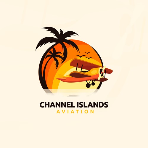 Classic Youthful Flight School catering to future pilots and luxury jet owners Design by VirtualVision ✓