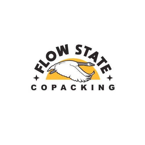 Flow State logo Design by T80
