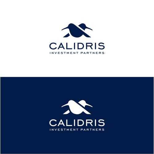 New Private Investment Firm Design by bo_rad