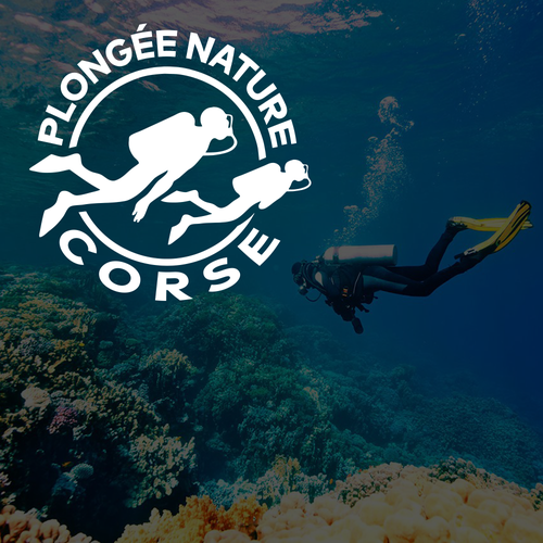 Logo design contest entry by ValDesigneer